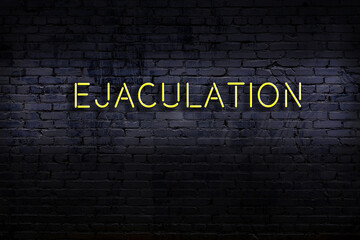 Neon sign. Word ejaculation against brick wall. Night view