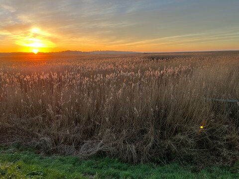 Landscape of beautiful sunset over marshland at nature reserve by pathway and reeds on the coast in Cley next the sea Norfolk East Anglia uk with colourful sky on the horizon on Winter afternoon