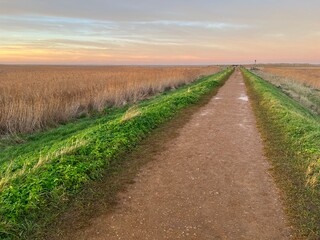Fototapeta na wymiar Sunset landscape at nature reserve in Cley next the sea in Norfolk East Anglia uk with path leading to beach on the horizon in Winter with colourful skies reeds grass in marsh fields