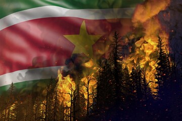 Forest fire fight concept, natural disaster - burning fire in the woods on Suriname flag background - 3D illustration of nature