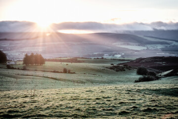 Fototapeta premium Rolling Hills at Sunrise, Ireland.