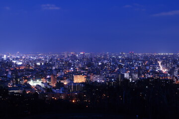 旭山記念公園から見た札幌の夜景