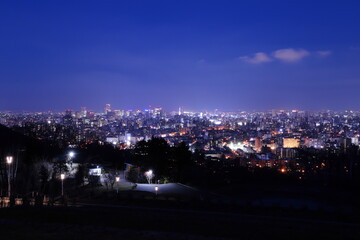 Fototapeta na wymiar 旭山記念公園から見た札幌の夜景