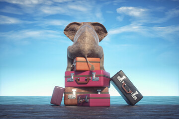Elephant sits on a stack of luggages looking at the ocean.