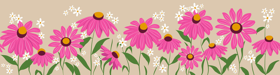 Horizontal seamless pattern with echinacea flowers and white flowers. Design for frames or borders. Botanical vector illustration in flat style.
