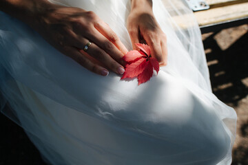 Close up image of a woman in a white dress holding red leaves on her laps - Powered by Adobe