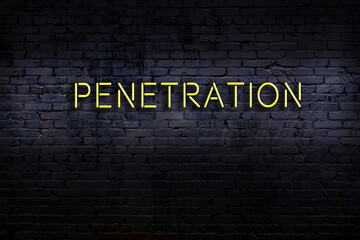 Neon sign. Word penetration against brick wall. Night view