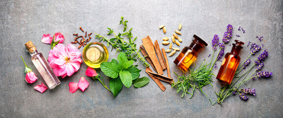 Bottles of essential oil with rosemary, thyme, cinnamon sticks, cardamom, mint, lavender, rose petals and buds