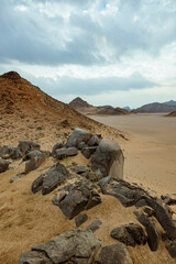 Fototapeta na wymiar Desert