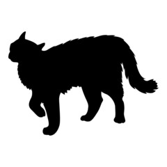 Silhouette of a cat showing aggressive behavior