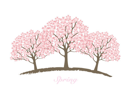 桜の木 Images Browse 23 419 Stock Photos Vectors And Video Adobe Stock