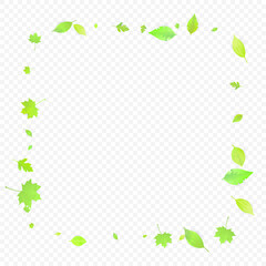 Leaves Falling Spring Flying Foliage Green Leaf