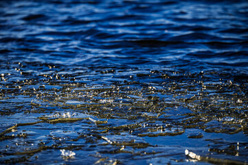 Frozen ice blocks by the waves of the lake.