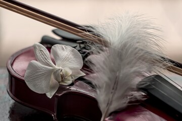 still life with violin pen and flower