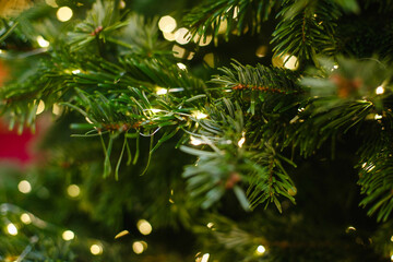 Fototapeta na wymiar holiday christmas tree decoration light 