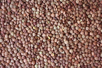 Brown lentils cereal crops natural background texture 