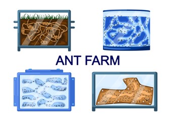Set ant farms isolated on white background. Different kinds formicaria from plaster, earth, wood, gel.