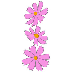 Set of cosmos flower branch vector simple illustration isolated on white background. Outline hand drawn colored version. Floral vector for childrens illustration, summer design.