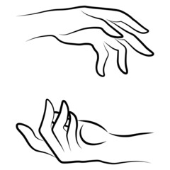 Women hands simple outline minimalistic linear gesture style. Vector Illustration of female hands for create logos, prints and other designs on white background