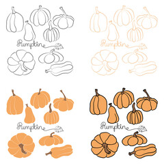 Pumpkin icon vector illustration set and handdrawn lettering in four different styles. Autumn Halloween or Thanksgiving pumpkin symbol in flat design, outline isolated on white background
