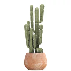 Foto op Canvas cactus isolated on white background © Yurii