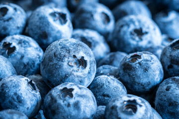 fresh ripe blueberries closeup background