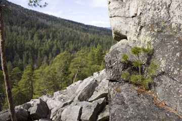 The big boulder or block field full of stones and rocks in Czech Republic called "Čertova stěna" (Devil wall). 