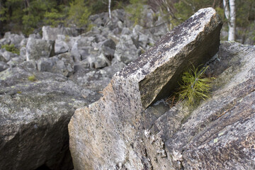 The big boulder or block field full of stones and rocks in Czech Republic called 