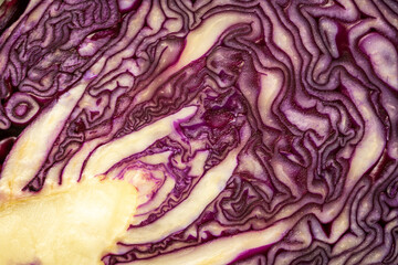 Obraz premium cut open purple cabbage closeup background