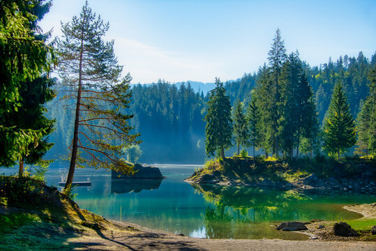 Forest reflections in Lake Cauma, Grisons, Switzerland
