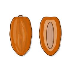Dates Fruit Ramadan Vector Icon Illustration. Dried Fruit Flat Icon