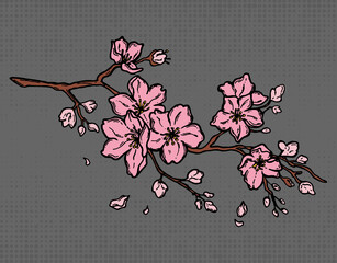 Cute hand-drawn sakura branch. Color cherry blossoms Japanese sakura. Color, sakura blossom. on background. illustration © D.Myts