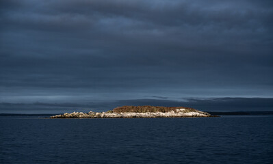 Goose Cove Rock, Latty Cove, Blue Hills Bay, Maine