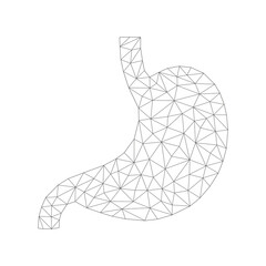 Human stomach with low poly black connected dots. Internal organ with triangular linear shapes. Vector isolated on white background.