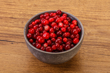 Sweet and tasty cranberry in the bowl