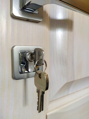 Open the door. Entrance to the house. Metal door handles and keys close up