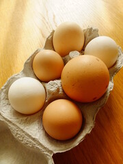 A box of six eggs