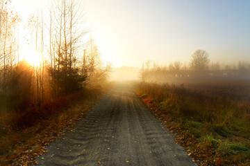 Dirt road among the landscape of late autumn in the early morning. Misty late November morning
