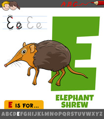 letter E from alphabet with cartoon elephant shrew animal character