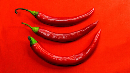 Three red peppers, photo on a red background