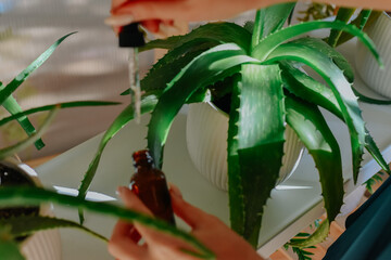 person holding a flower in the garden