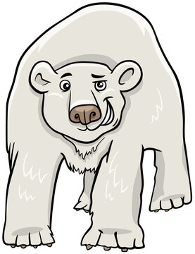 cartoon polar bear animal character