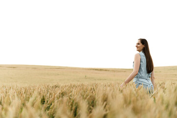Naklejka na ściany i meble a young girl is in a huge wheat field and touches the ears of wheat. organic wheat. large argar field. agricultural business. girl walking on wheat