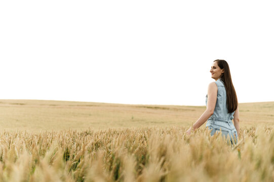 a young girl is in a huge wheat field and touches the ears of wheat. organic wheat. large argar field. agricultural business. girl walking on wheat