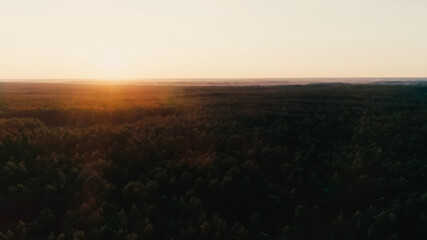 Aerial view of sunset sky and forest