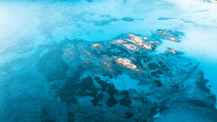 coral reef in the sea