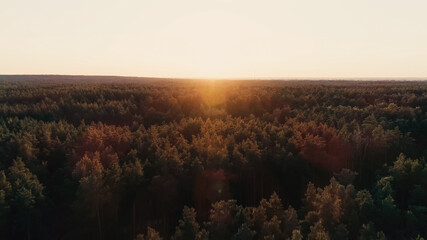 Aerial view of forest and sky at sunset