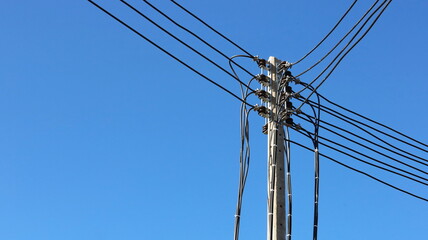 Electrical wires on concrete poles. Low voltage transmission line on concrete pole on bright blue sky background in bottom view and with copy space. selective focus - obrazy, fototapety, plakaty