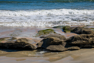 Fototapeta premium Marineland is located just south of St. Augustine on scenic A1A. 