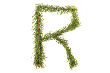 Numbers and letters of the alphabet made of coniferous branches